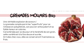 GRENADES MOLLARS BIO