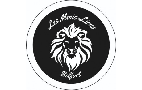 Novice &quot;Les Mini-Lions&quot;